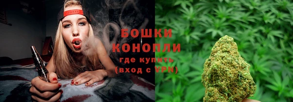 мет Дмитров