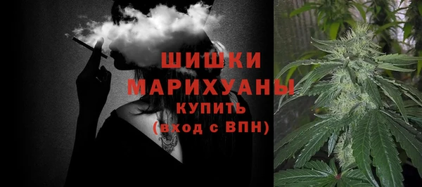 мет Дмитров