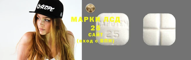 гидропоника Дмитриев