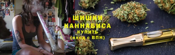 гидропоника Дмитриев